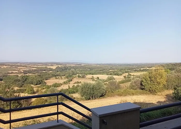 Daire L'horitzo Llado